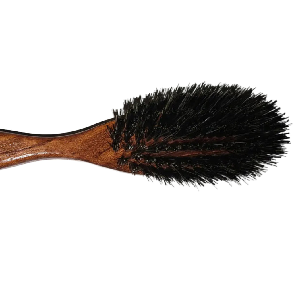 Solomon’s Professional Hair Brushes Wooden Handle Natural Bristle Pack of 10 Core Trading Uk